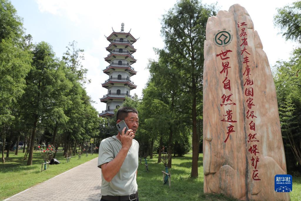 桌游棋牌